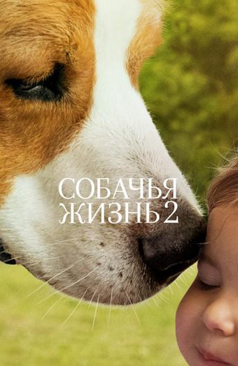 Фильм Собачья жизнь 2 (2019) смотреть онлайн в качестве FHD